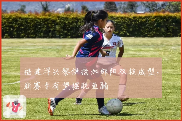 福建浔兴黎伊扬加邹阳双核成型，新赛季有望摆脱鱼腩