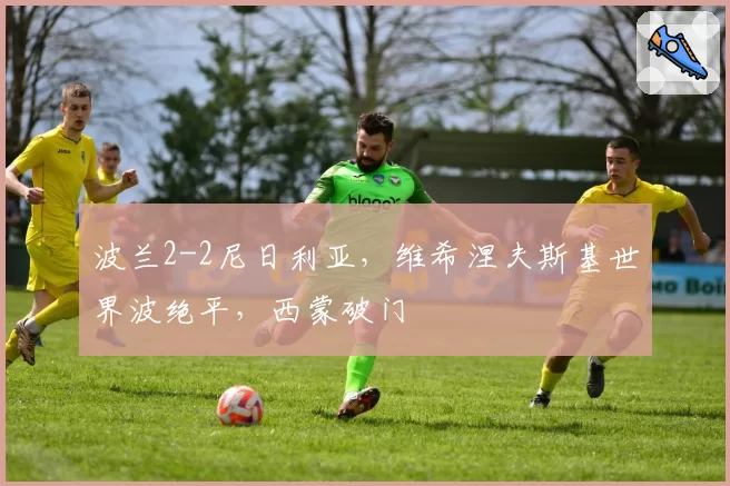 波兰2-2尼日利亚，维希涅夫斯基世界波绝平，西蒙破门