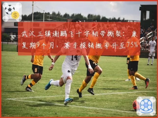 武汉三镇谢鹏飞十字韧带撕裂：康复期9个月，赛季报销概率升至75%