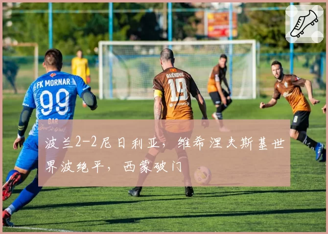 波兰2-2尼日利亚，维希涅夫斯基世界波绝平，西蒙破门