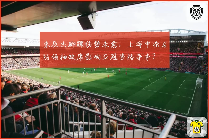朱辰杰脚踝伤势未愈，上海申花后防领袖缺席影响亚冠资格争夺？