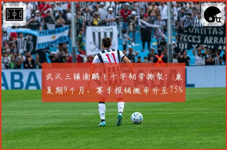 武汉三镇谢鹏飞十字韧带撕裂：康复期9个月，赛季报销概率升至75%