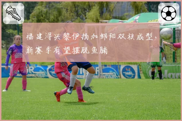 福建浔兴黎伊扬加邹阳双核成型，新赛季有望摆脱鱼腩